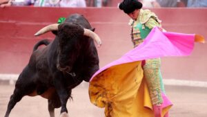 Proponen "lidias donde no se maltrata ni se mata al animal".