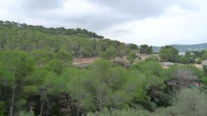 Una de las parcelas en la urbanizaci&oacute;n de Biniorella de Andratx