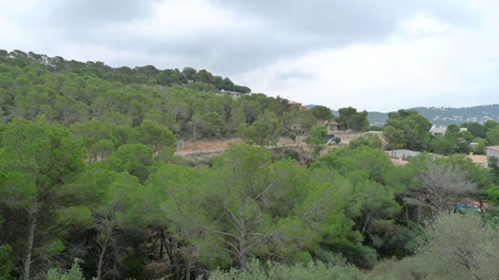 Parcelas en la urbanización de Biniorella de Andratx