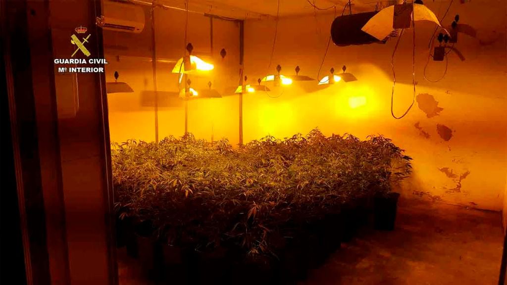 "Regaba" las plantas con luz robada a Gesa