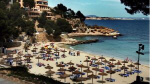 El presunto fraude ha provocado p&eacute;rdidas millonarias