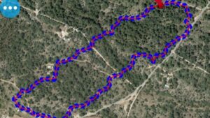 superficie quemada incendio cala saona