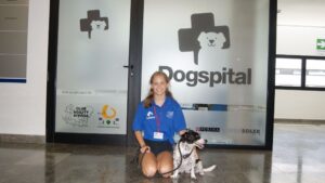 dogspital