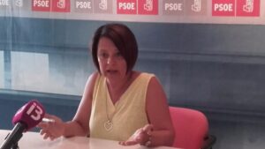 sofia hernanz psoe