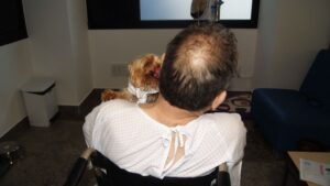 programa dogspital perro visita paciente hospitalizado