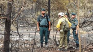 guardia civil investigacion incendio cala saona