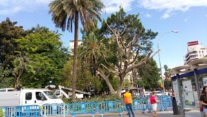 Pod&iacute;a suponer la ca&iacute;da de dos de las ramas