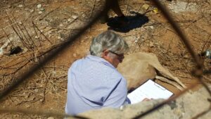 guardia civil en la finca de las ovejas