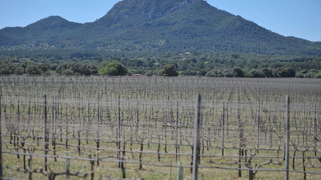 Denuncian que la plantilla sufre "situaciones propias del siglo XIX"