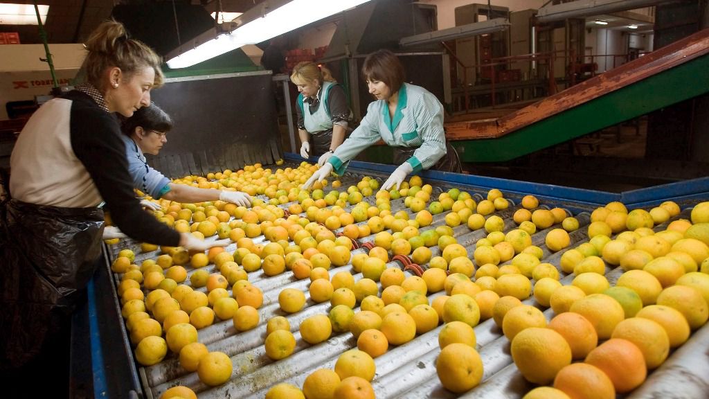 mujeres trabajando