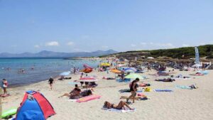 La playa de Son Baul&oacute; es una de las m&aacute;s concurridas del norte de Mallorca