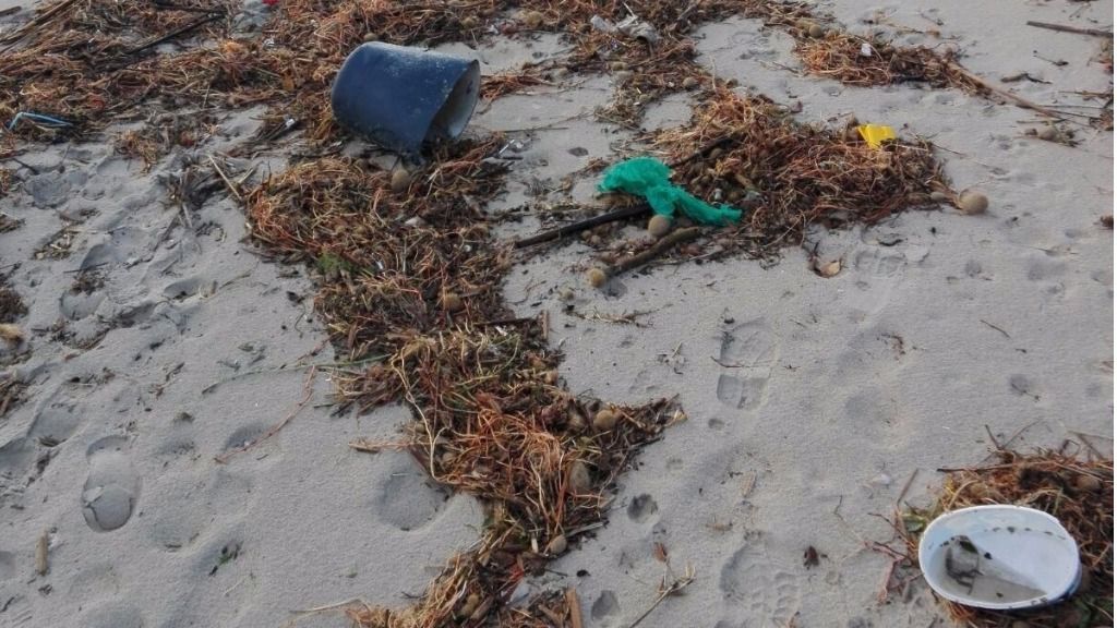 basura suciedad playa