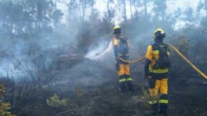 El incendio ha sido controlado por los bomberos