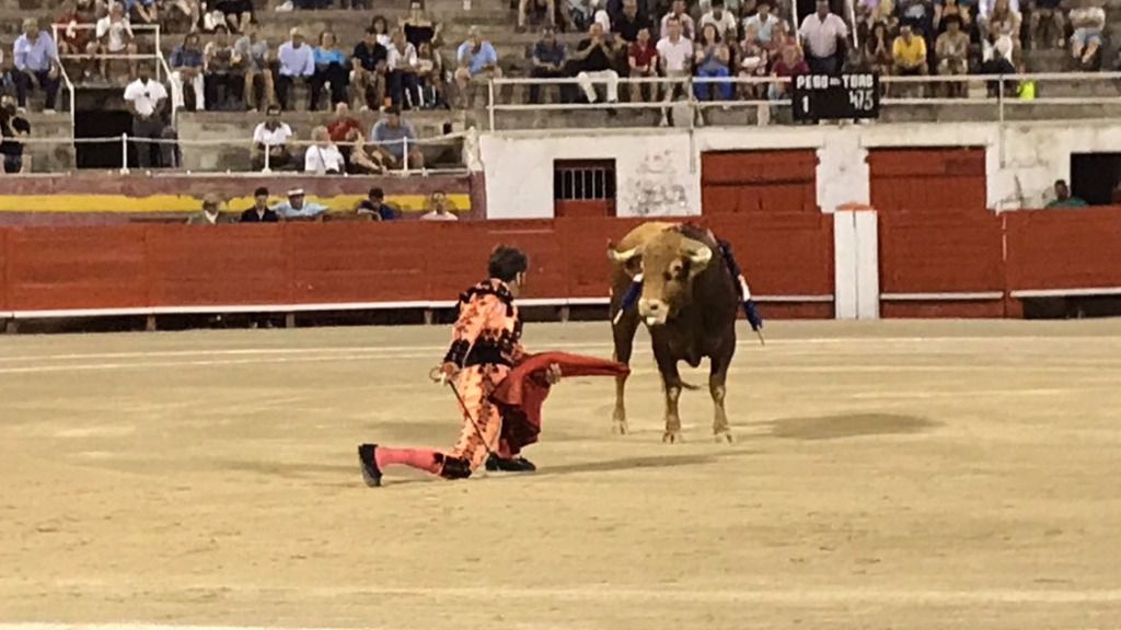 juan jose padilla en Palma