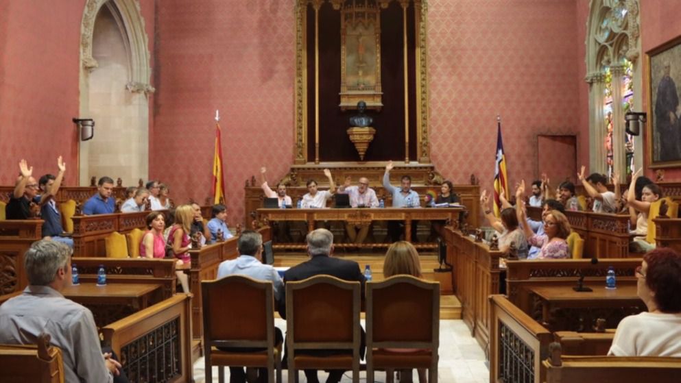 Momento de la votación en la que se aprueba el rescate del túnel