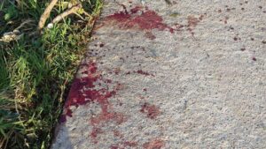 Las marcas de sangre de la agresi&oacute;n son visibles en el suelo