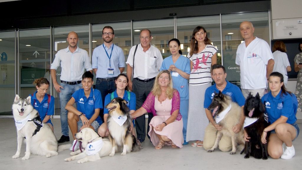 perros en hospital