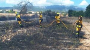 IBANAT ha publicado la fotograf&iacute;a en su cuenta de twitter