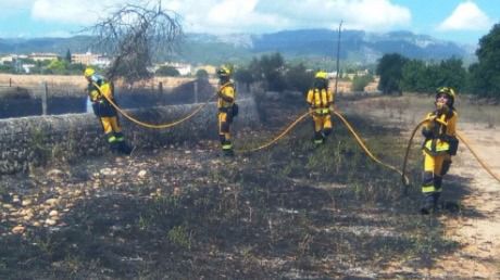 IBANAT ha publicado la fotografía en su cuenta de twitter