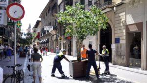 El Ayuntamiento ha comenzado a instalar las medidas de seguridad en las calles peatonales m&aacute;s concurridas de Palma