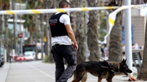 Los Mossos no descartan ninguna hip&oacute;tesis