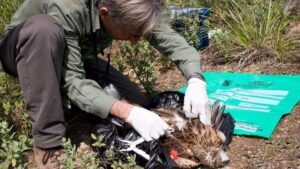 agentes medio ambiente