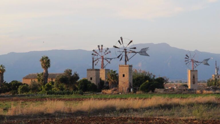 Molinos Sant Jordi