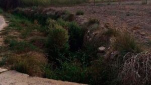 Estado actual de un torrente de Sineu