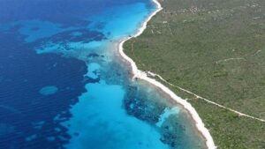 circulo de hadas posidonia