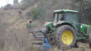 endesa limpieza zona boscosa