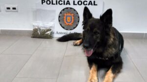 perro policia sant antoni