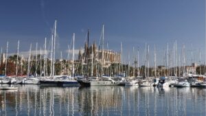 Palma barcos