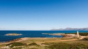 Son Real es un espacio mayoritariamente p&uacute;blico