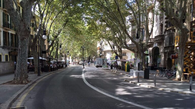 Imágenes: Lluís Forteza Rey