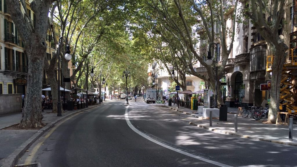 Imágenes: Lluís Forteza Rey