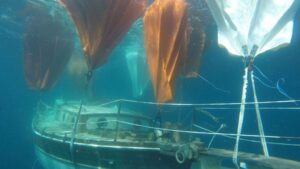 velero hundido reflota