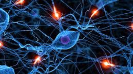 Imagen de zonas del cerebro da&ntilde;adas por la enfermedad