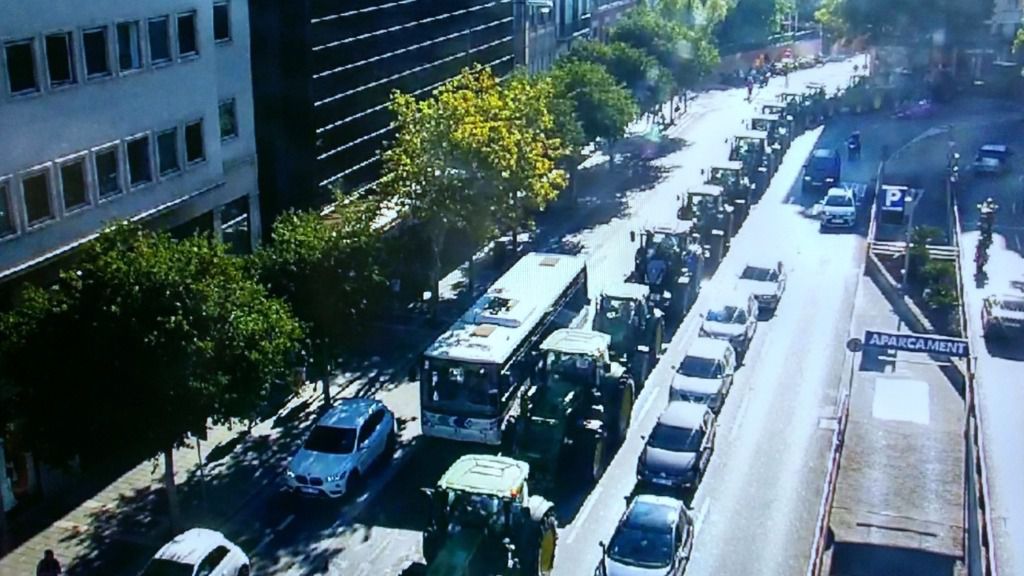 www.mallorcadiario.com  fotos 1 332541 Capturadepantalla2017 09 30alas10.26.50
