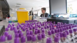 Se realizar&aacute; de manera conjunta en Balears