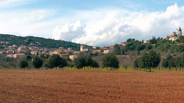 santa eugenia