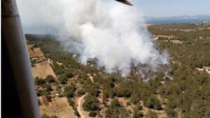 Incendio en Cala Saona (Formentera)