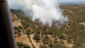 incendios forestales