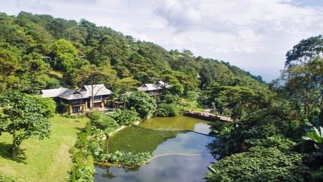 melia asia