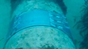 emisario talamanca brida