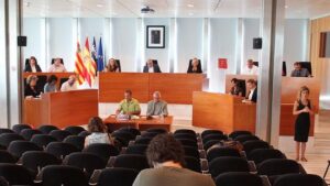 pleno consell eivissa junio