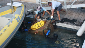 Foto de archivo de una acci&oacute;n de limpieza del litoral en Marina Port de Mallorca (Palma, Baleares, Espa&ntilde;a).