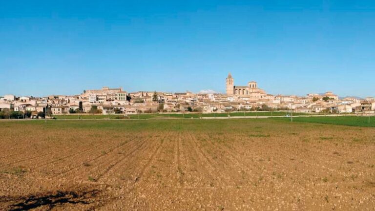 sineu