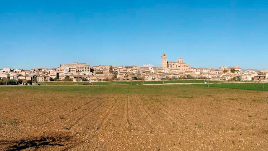 sineu