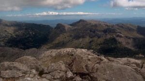 Ven "necesaria" la recuperaci&oacute;n de la figura de director gerente del Consorcio