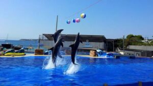 Imagen de archivo del parque acu&aacute;tico situado en Costa d'en Blanes